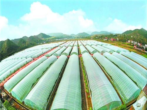 空氣能熱泵如何給植物養殖創造環境？