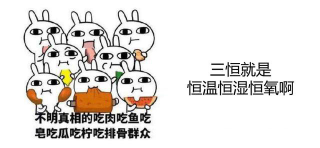 家裝三恒系統品牌有哪些？